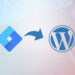 Come installare Google Tag Manager su WP