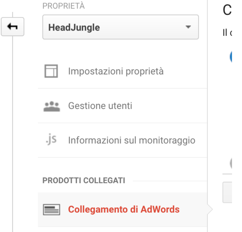 Collegamento AdWords - Google Analytics